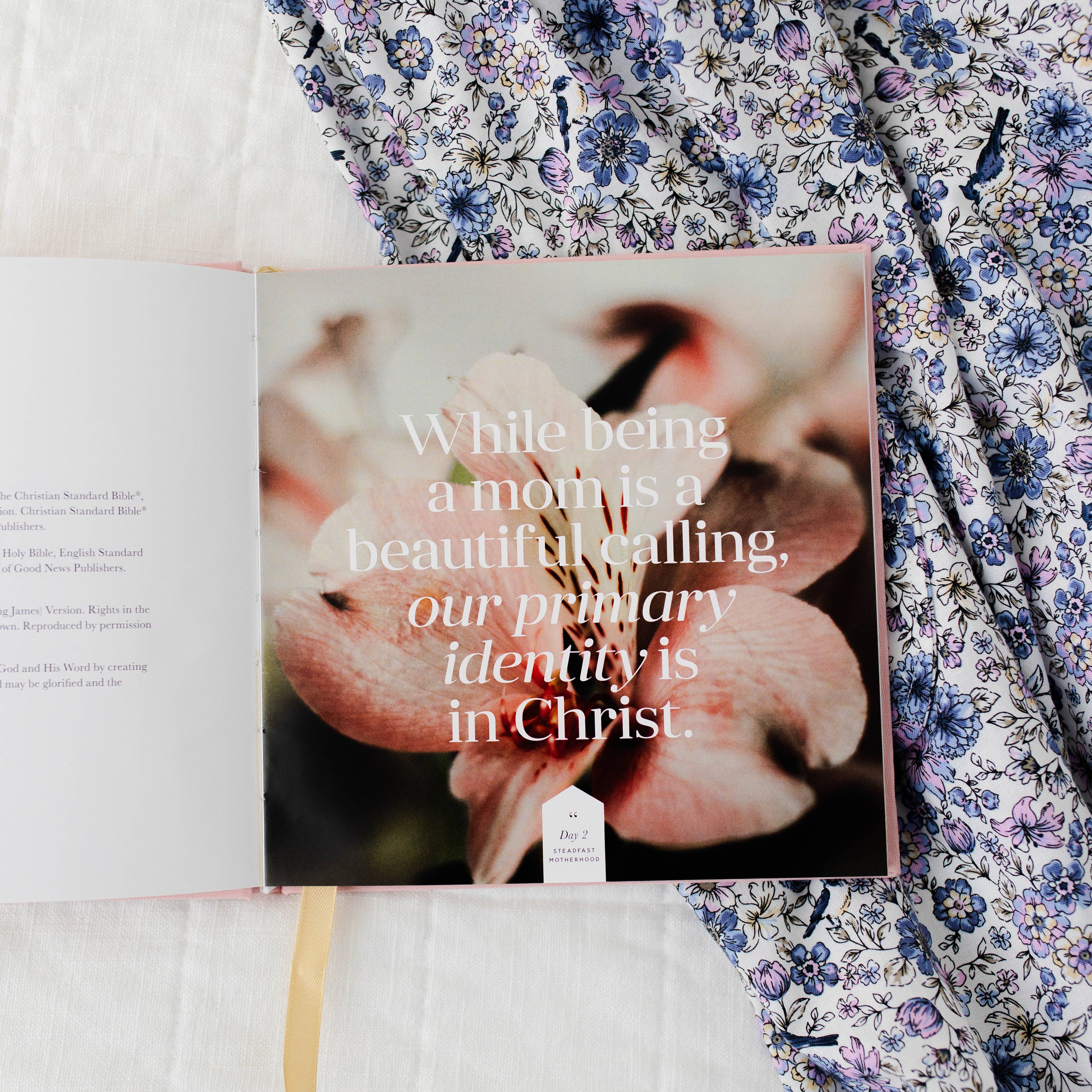 Steadfast Motherhood Devotional | Coffee Table Book